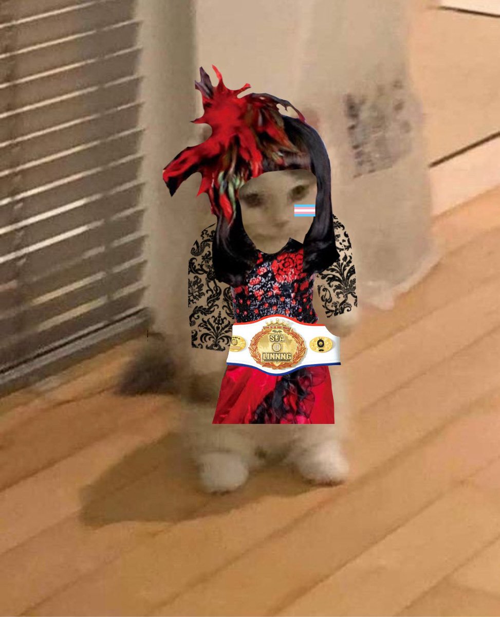 aaliyah the funky pansexual (@velvetbrainhaze) on Twitter photo 