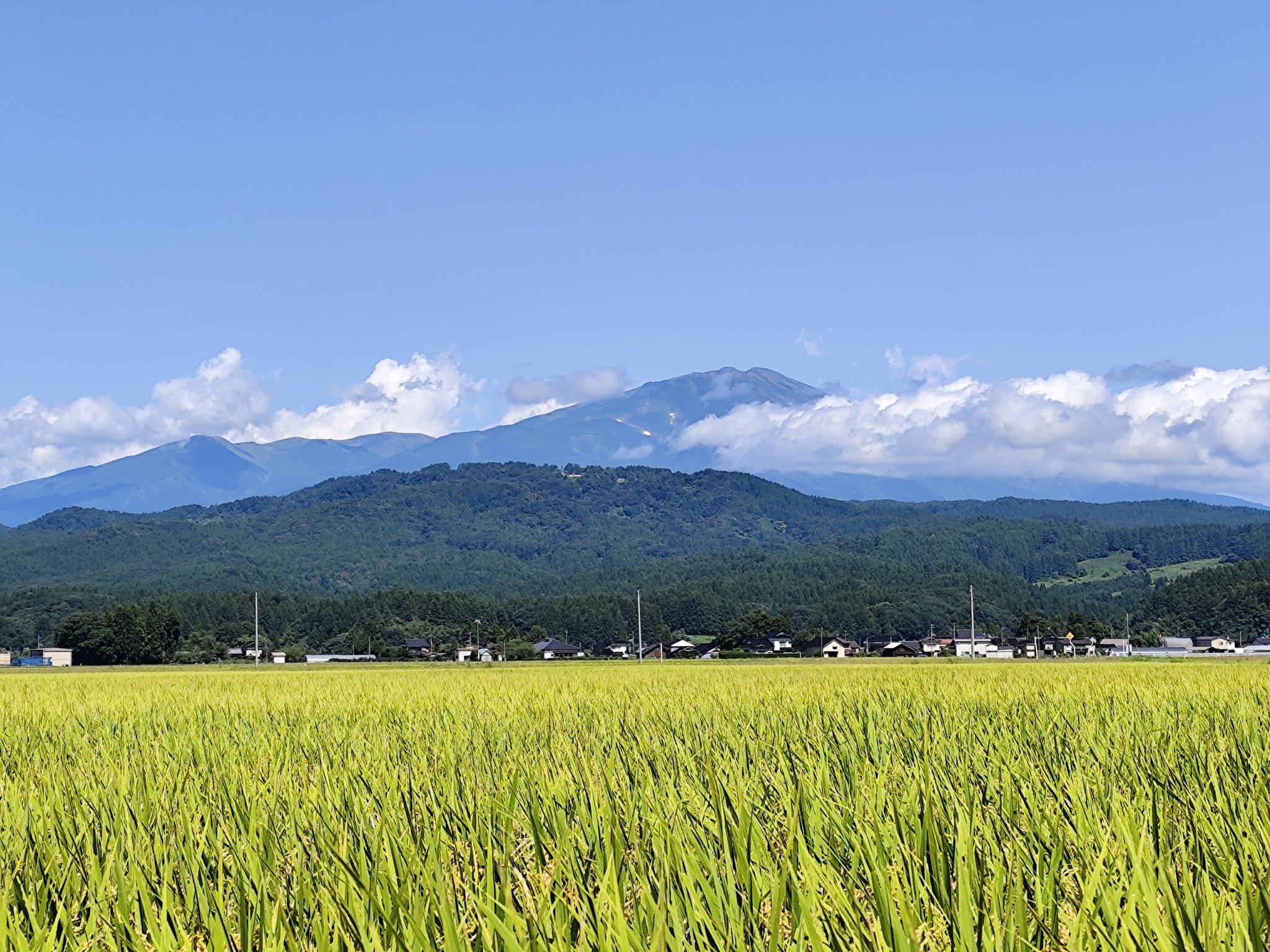 信州の山々　半澤満 信州の山々 半澤満 Yahoo!オークション -「半澤満」(油彩) (絵画