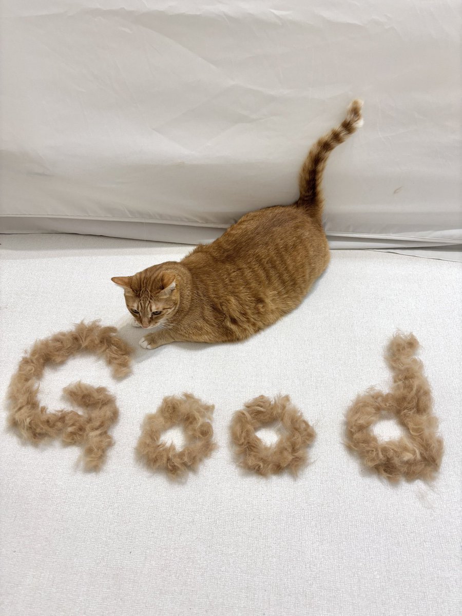 우동과 고명즈 (@alldayudon) on Twitter photo 