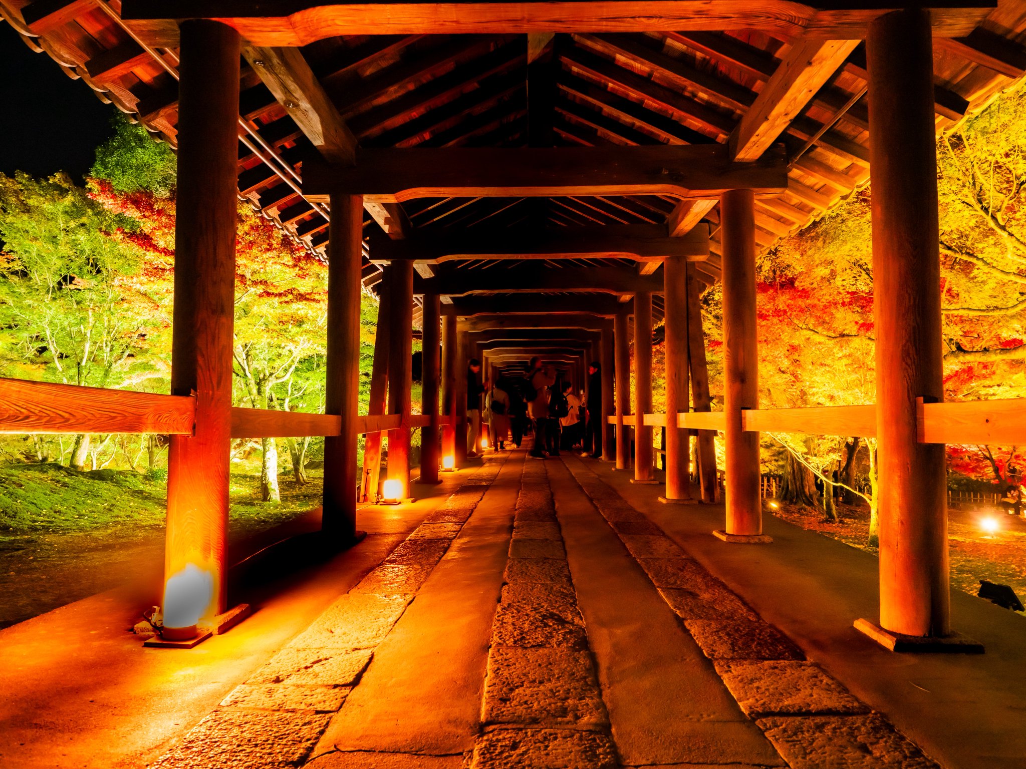 無*◎様 赤背景 生写真 827_背景_赤 - No: 23970354｜写真素材なら「写真AC」無料