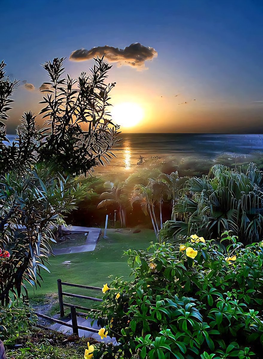 mastermachandar's tweet image. Good night,  sweet dreams