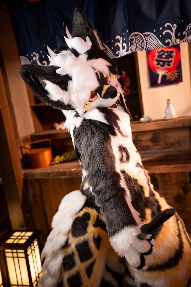 在看什么呢～

#FursuitFriday #FursuitsFriday