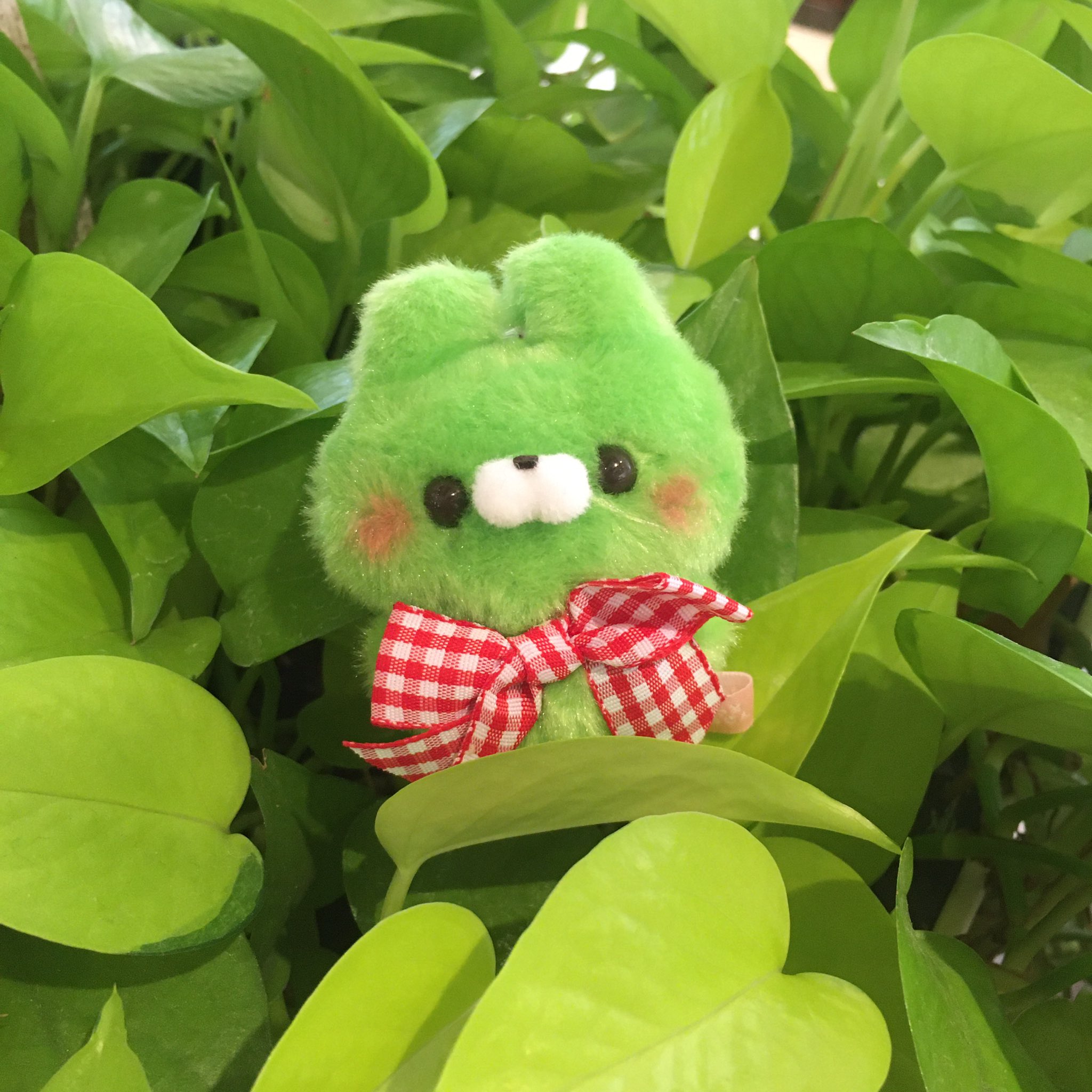 すくっとたっちさんʚ🎀ɞ (@SukuttoTatchsan) / X