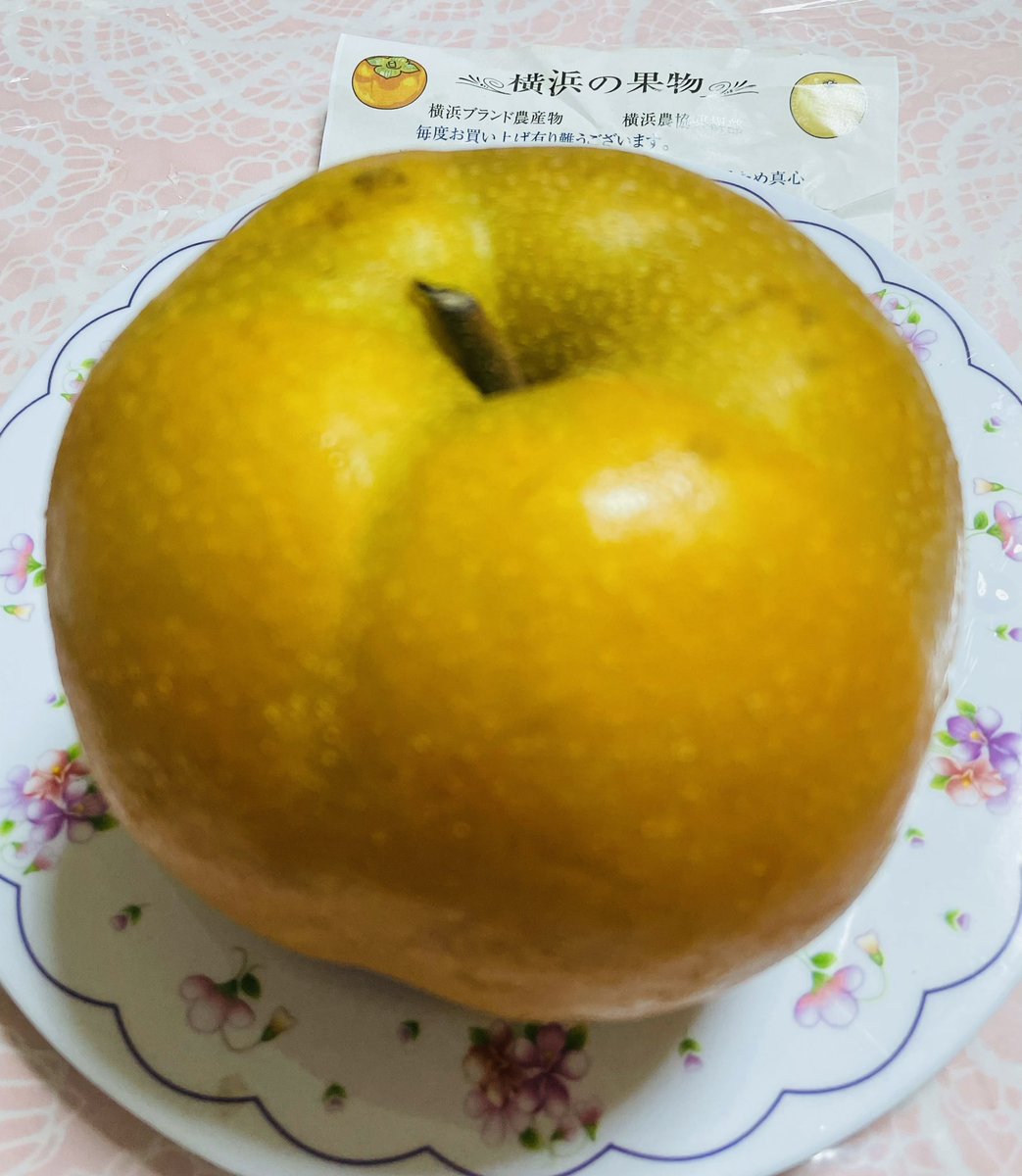 55sekaimirai's tweet image. こんにちは😄
庭先の直売所のみで販売🍐
すぐに売り切れちゃう収穫仕立ての✨新鮮な浜なしをGET(*^▽^*)ﾔｯﾀｰ💖

この時期のお楽しみのひとつ^ ^
歴史は昭和20年代からの梨🍐大玉ですね🤭
みずみずしくて甘〜くて凄い美味しいんです😋✨

#浜なし
#横浜　#果物　#おやつ