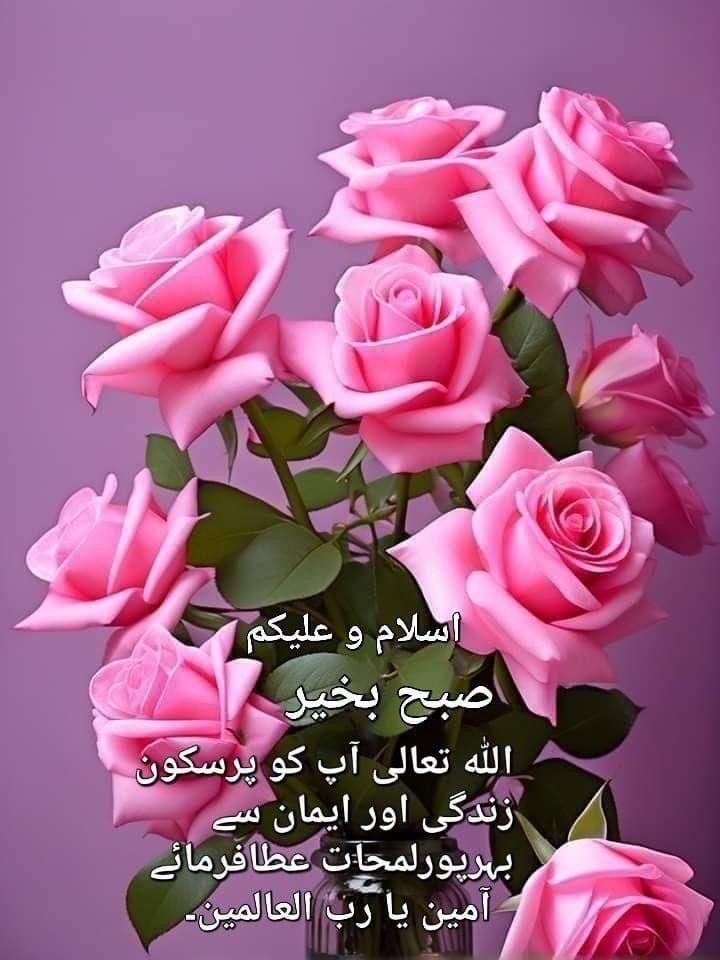 SF_khan tweet media