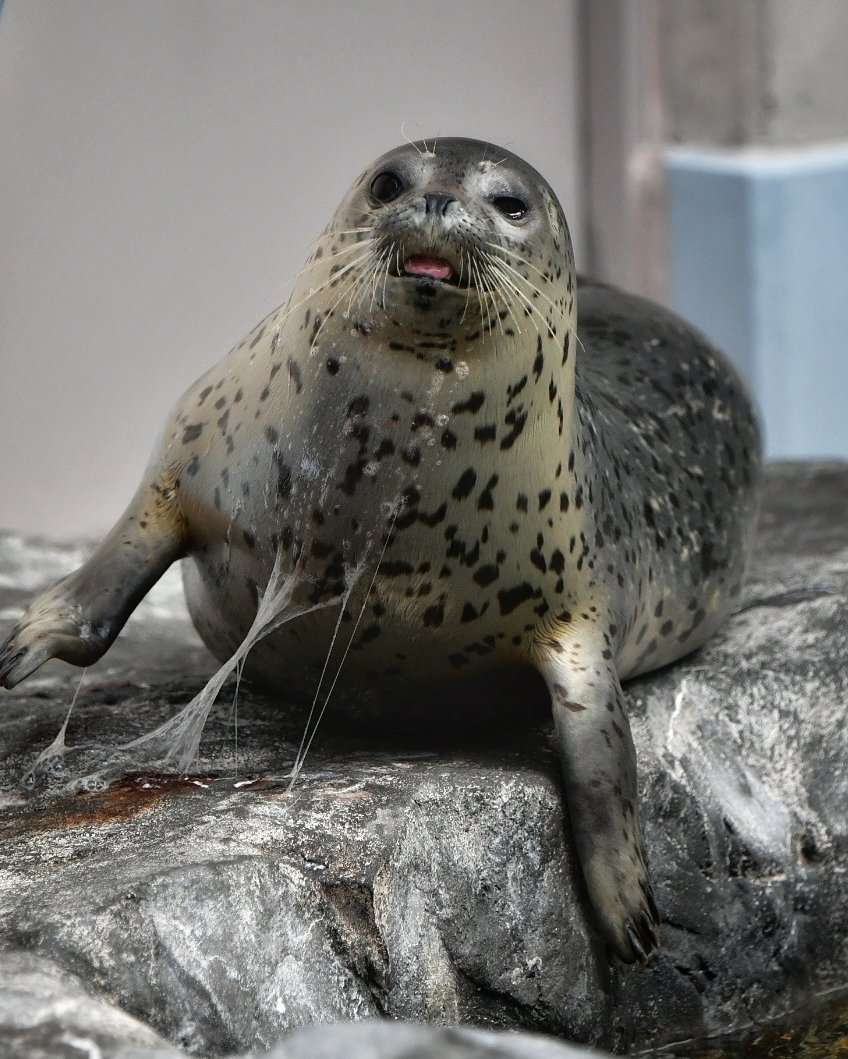 me after sneezing all over myself