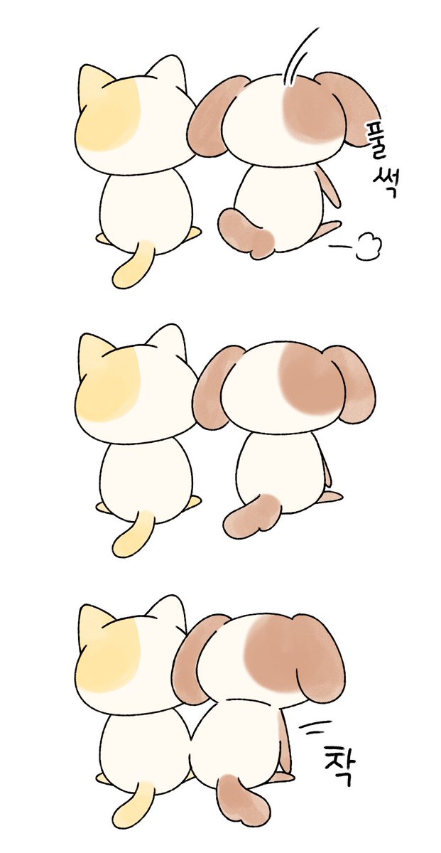 묘냥이와 멍구 (@myo_n_meong) on Twitter photo 
