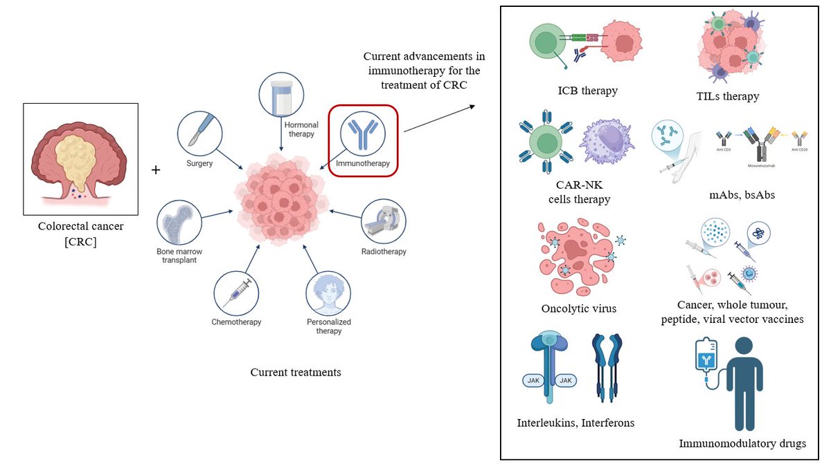 IFPG_Innovation's tweet photo. ✨MiniReview 
"Immunotherapy for Colorectal Cancer: Recent Advancements" by Kaunain SF, Pandurangan AK.
⏬Read more here⏬
https://t.co/r9XbPeEVFK https://t.co/wUiuNKdRfk