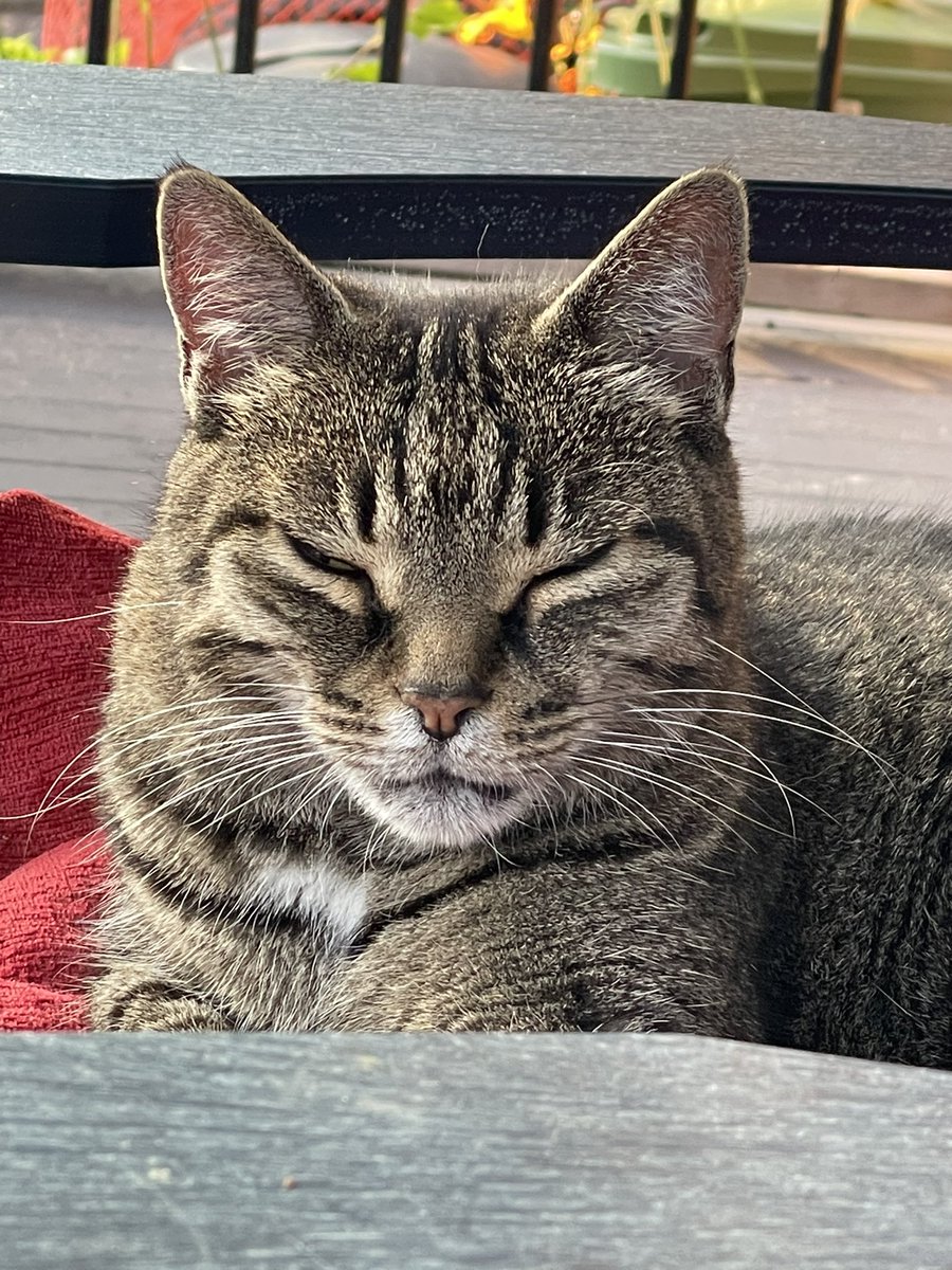 Marg Stubington tweet media