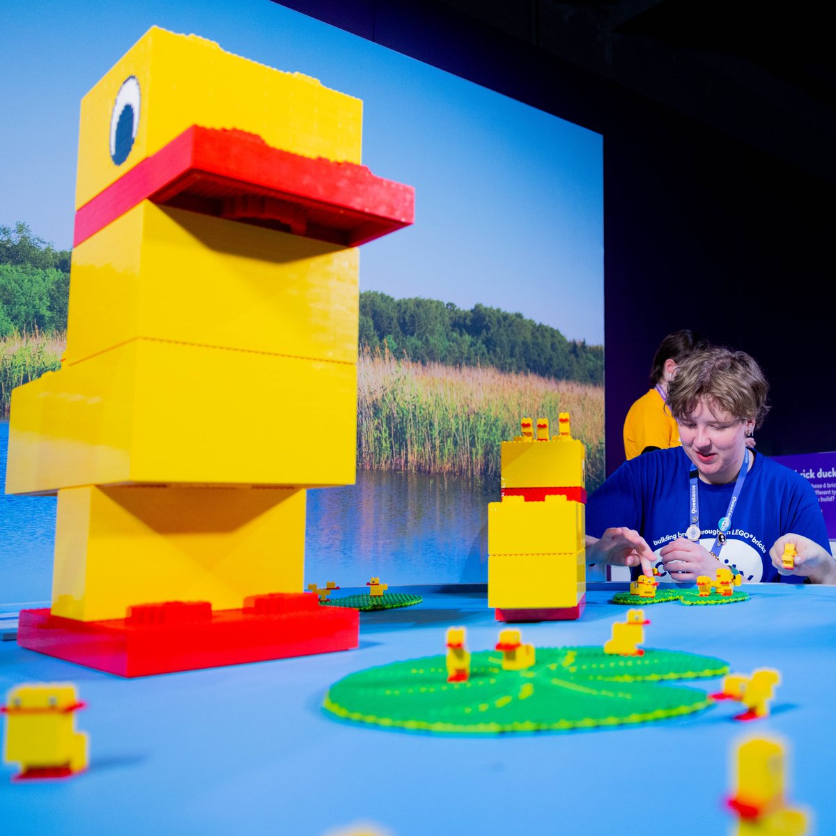 BgoArtGallery's tweet photo. Announcing… 
CURIOSITY: Building breakthroughs in LEGO® bricks
Opening Tuesday 3 Mar 26. A collaboration between Bendigo Art Gallery and Discovery Science &amp; Technology Centre.
Created by LEGO® Certified Professional Ryan ‘#Brickman’ McNaught and his team.
@curiosityexhibition https://t.co/Jw6IQ94OV3