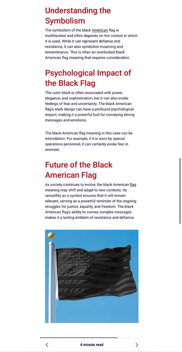 NinerMeta's tweet image. $Blackflag 🇺🇸🏴