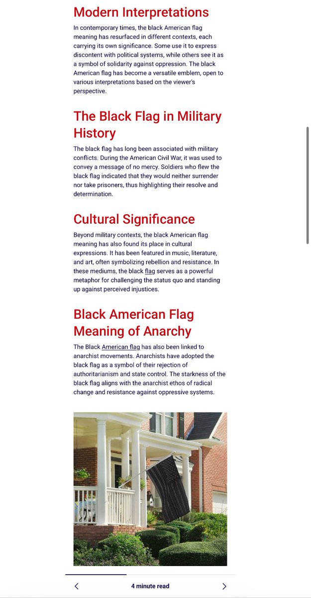 NinerMeta's tweet image. $Blackflag 🇺🇸🏴