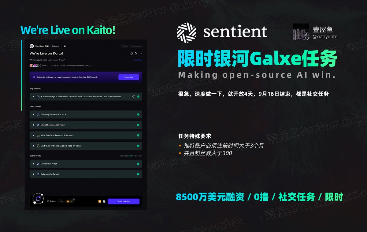 壹屋鱼 tweet media