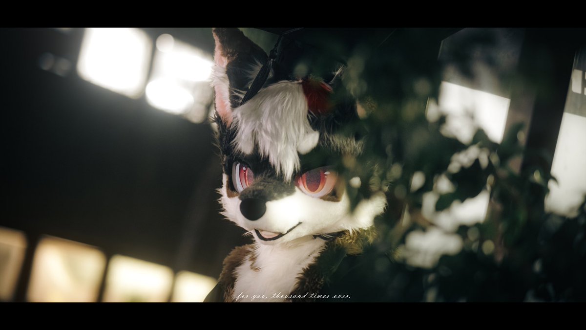 雨泽Yuze tweet media