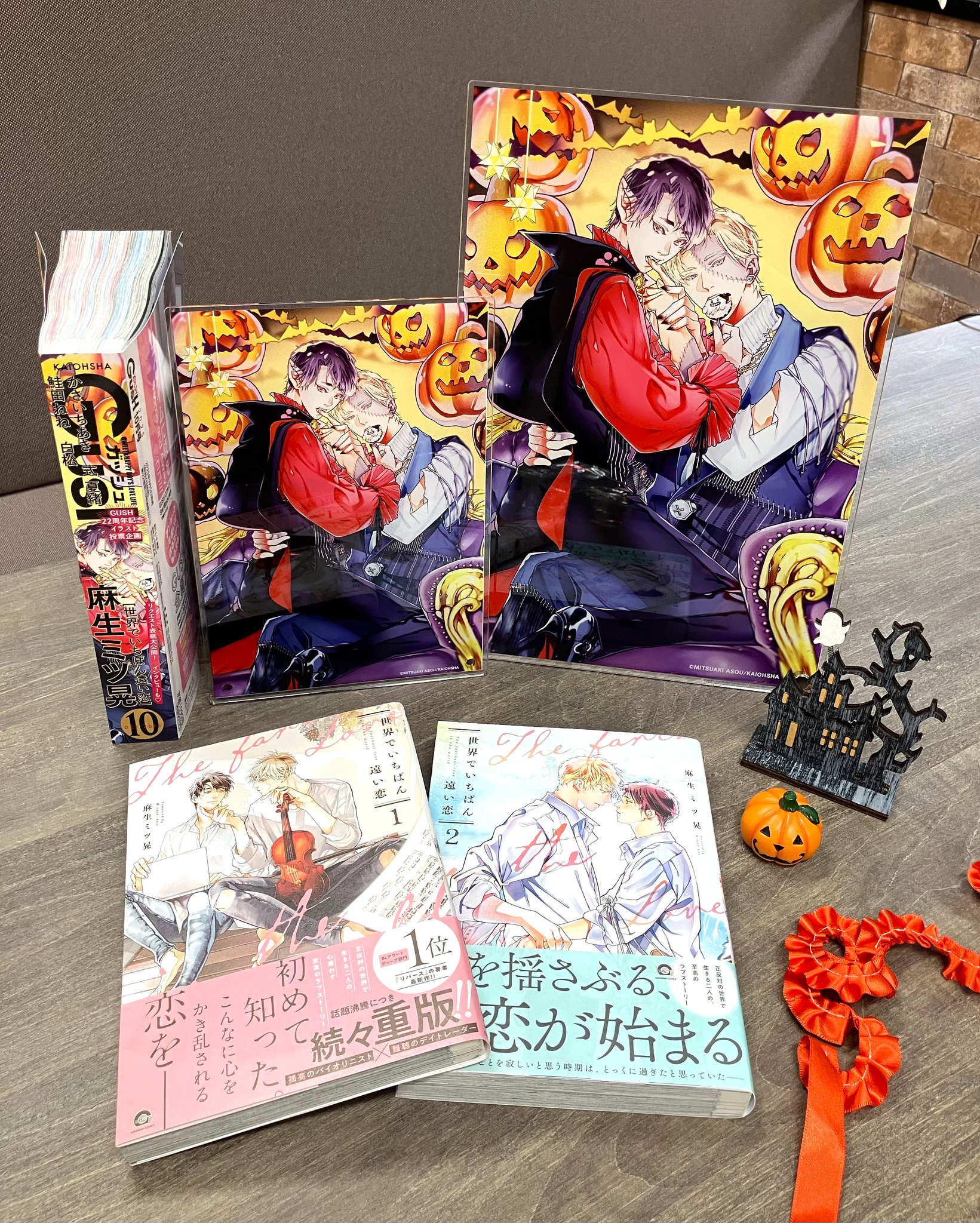 麻生ミツ晃先生 リバース アクリルプレート 直筆サイン入り リバース