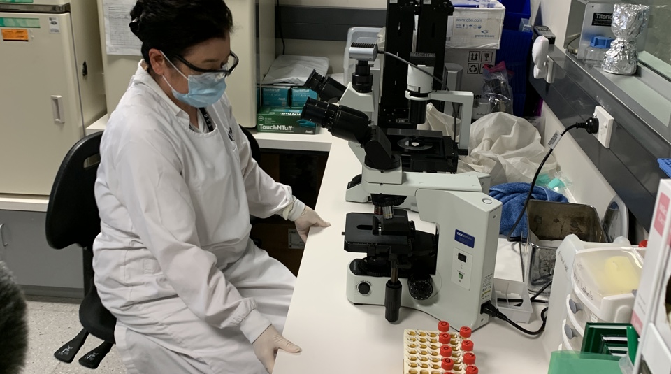 PHFScience's tweet image. Serious seasonal respiratory illnesses, including influenza and Respiratory Syncytial Virus (RSV), continue to circulate at high levels in parts of New Zealand as we head into spring. phfscience.nz/news-publicati…