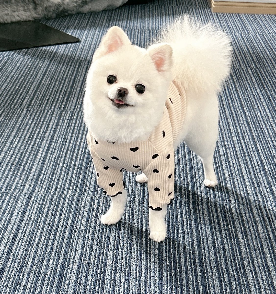 つい最近まで凄く年齢を重ねる事や
普通の人より容姿が醜い事に対して
強い劣等感や恐れがあったけど

最近は、年齢や容姿で人の価値は決まらないし
それで判断される関係性ならそこまでだったと
思えるようになってきました😌

自分は自分、人は人
比べず自分らしく生きてる人が
1番美しい🫧