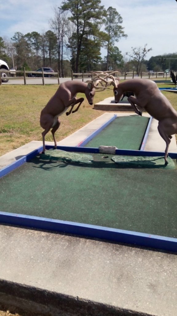 KateElner's tweet image. Lovely 😊 Views