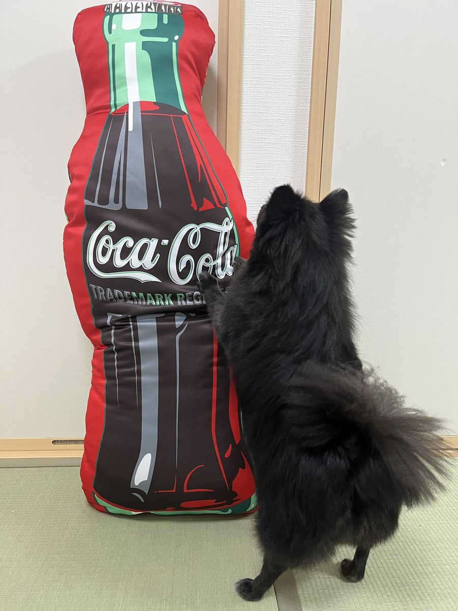 タイトーくじ Coca-Cola® LH賞 超巨大クッション コカ・コーラ - タイトー くじ コカコーラ LH賞 超特大 Coca