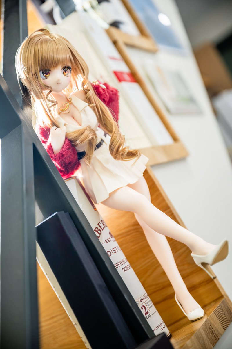 시선
____________________                                             
#mdd좋아요 
#MDDはいいぞ 
#우리애귀여워 
#うちのこかわいい