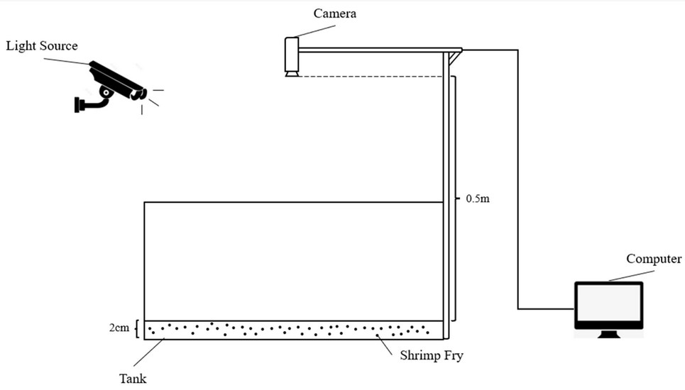 Sensors_MDPI's tweet image. Automatic Shrimp Fry Counting Method Using Multi-Scale Attention Fusion
mdpi.com/1424-8220/24/9…
#smart_aquaculture #deep_learning