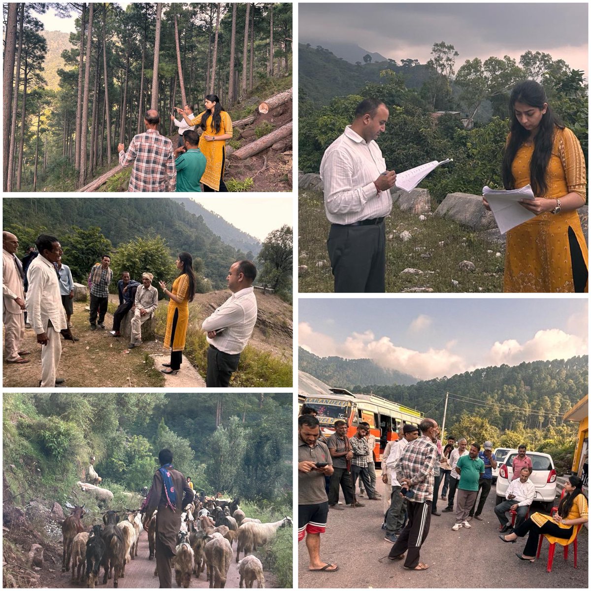 Mehak9999's tweet photo. All about SERVING AND SERVING.

#TehsildarBhomag
#Reasi 
#JammuFloodRelief 
#servingthecommunity https://t.co/DllmGTrGhI