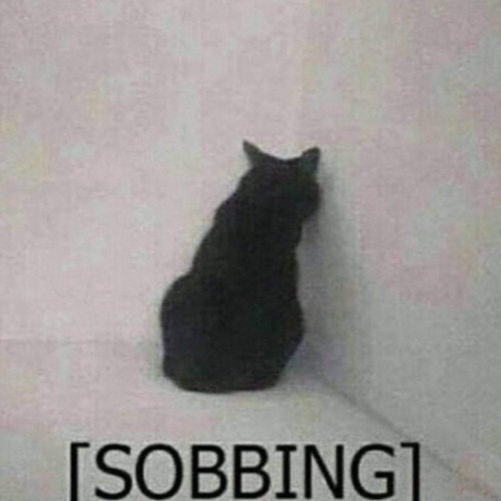 WHAT THE FUCK WAS THAT IM FUCKING CRYING SO HARD RN