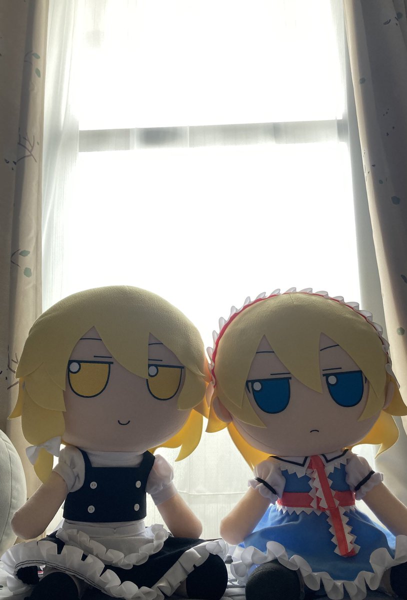 ふも写真コンテストの賞品として、アリスfumoがうちに来てくれました✨️
まりちゃんのおかげです