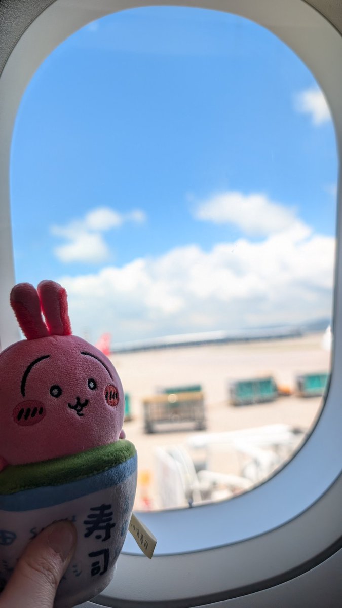 Elf_Spring's tweet image. 