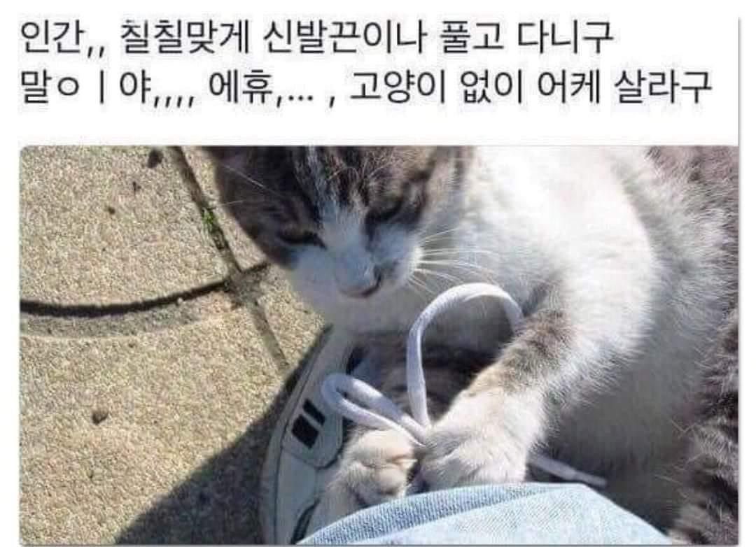 챱 (@lovx11_very) on Twitter photo 