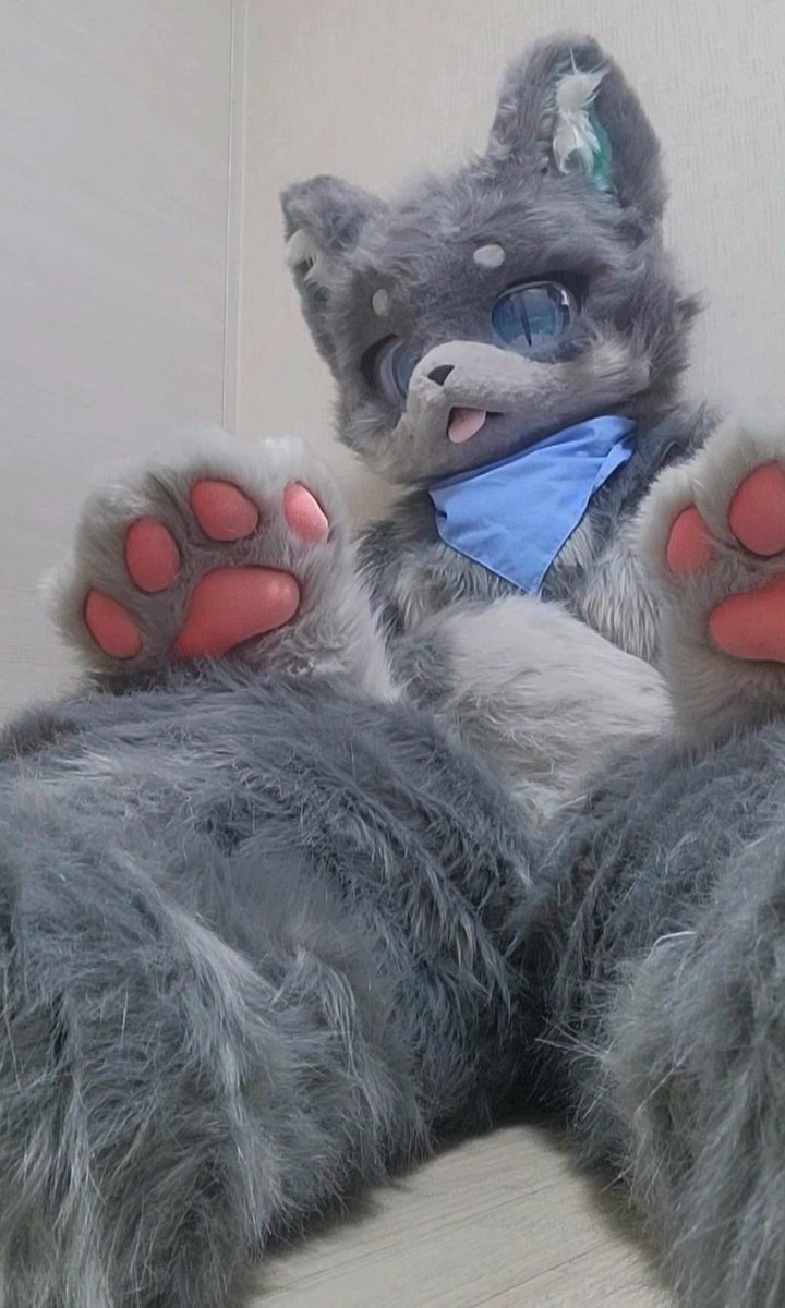 행복한 금요일 보내세요!!

#FursuitFriday #fursuit