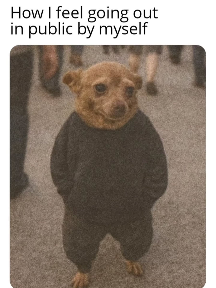 MemeOn___1M's tweet image. Social Anxiety Level Dog in a Hoodie 🐶😅
#RelatableAF #IntrovertVibes #DogMeme #SocialAnxiety #MemeLife #AwkwardButCute #SoloMission