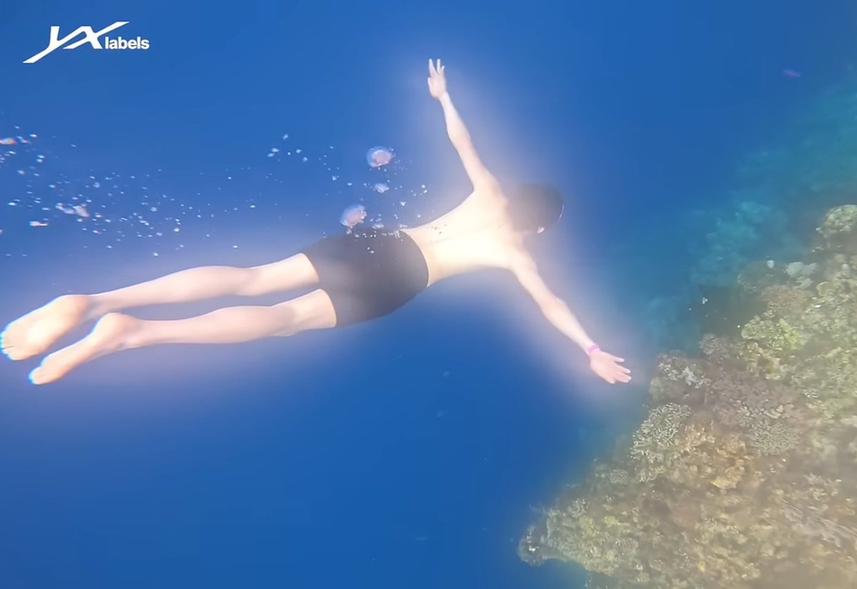 유미… tweet media