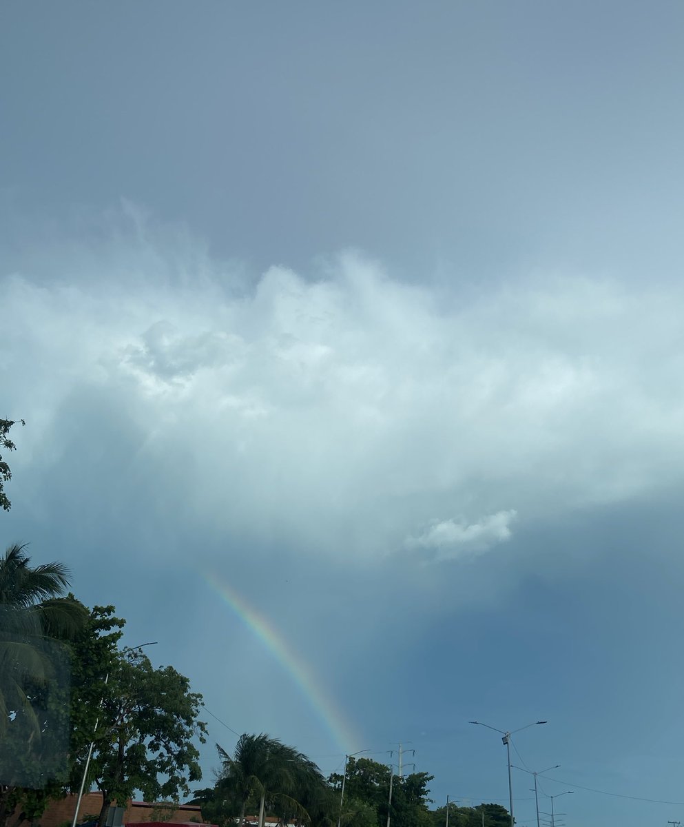 Me encanta admirar la creación. 🌈