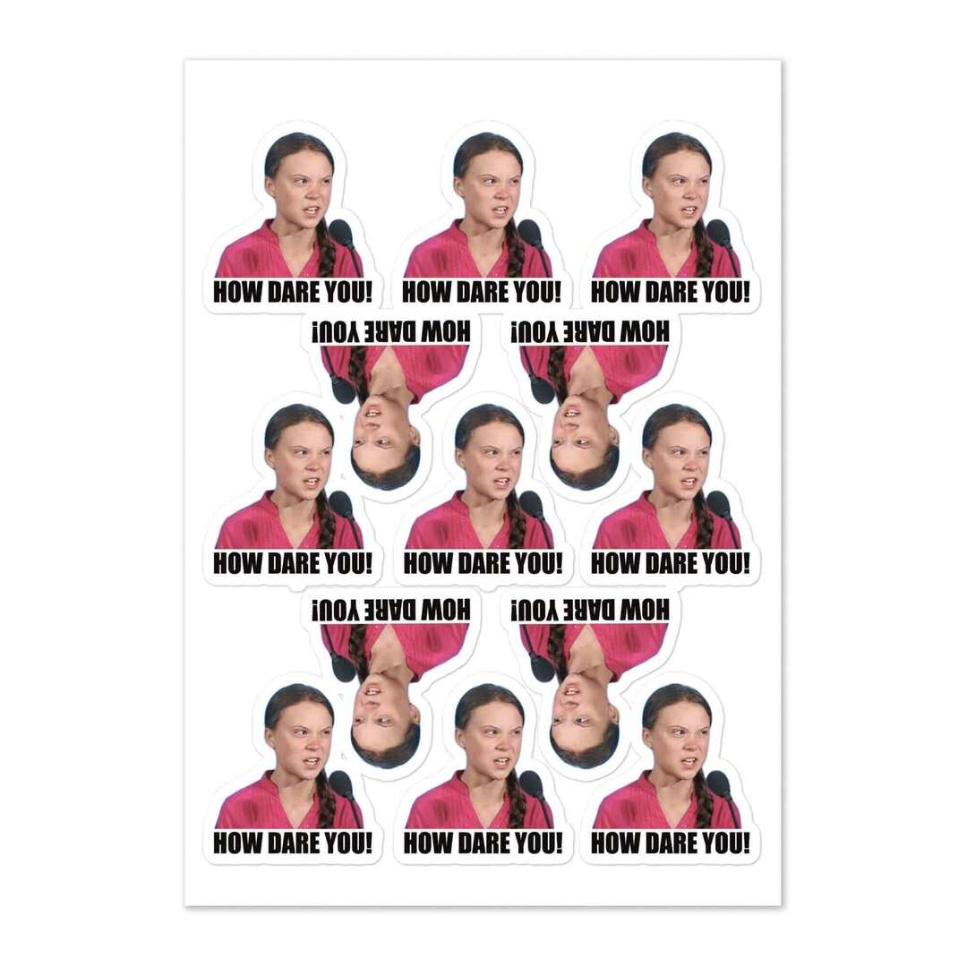 HOW DARE YOU - 13 Sticker sheet - bit.ly/40YE125
This was an order from my amazon store. You can get this on amazon at amzn.to/40ZZkk4. This one is headed for California