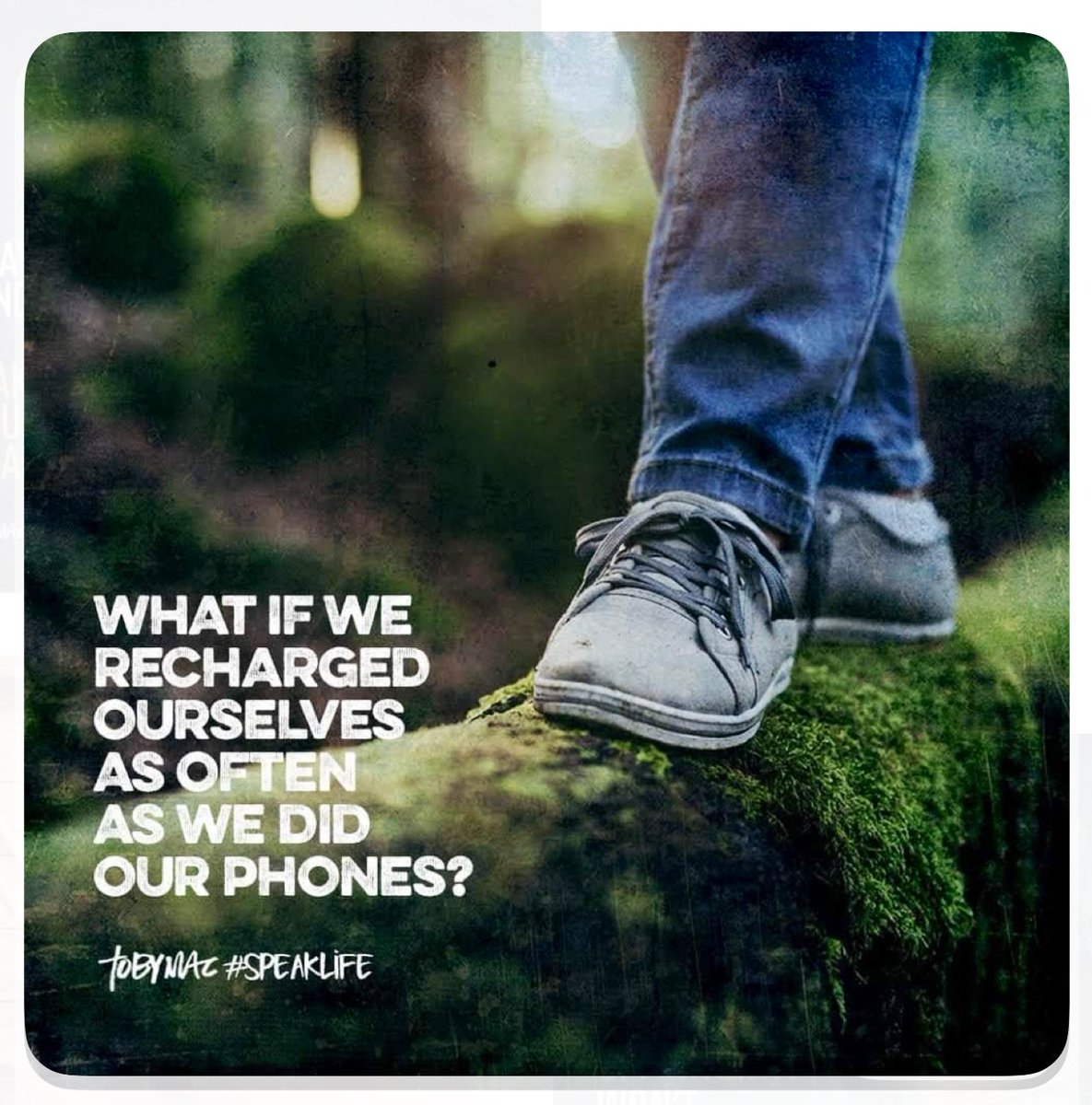 ashish_jadhao's tweet image. Life 🌿
#FridaysForFuture