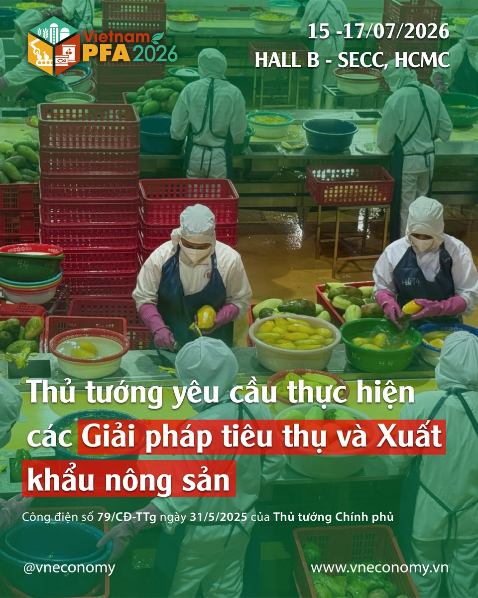VietnamPFA's tweet image. 🌾 [Industry News] Vietnam’s Prime Minister urges stronger measures to boost agri-product consumption &amp;amp; exports.
🔗 vneconomy.vn/thu-tuong-yeu-…
Source: VnEconomy
#AgriFood #VietnamExport #IndustryNews #VietnamPFA2026