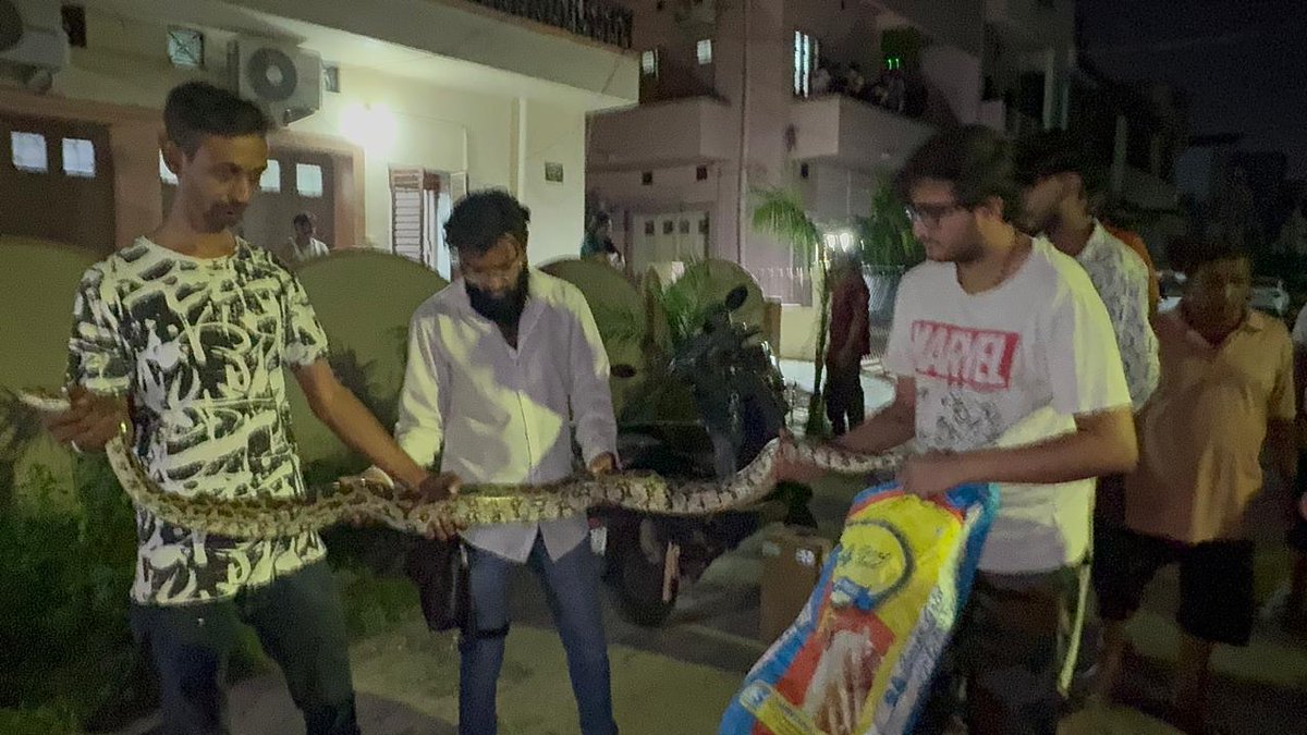 DDNewsGujarati's tweet image. ➡️વડોદરા ખાતે 6.5 ફૂટના અગજરનું રેસ્ક્યૂ કરાયુ
➡️કારેલી બાગ ખાતેની ચેપી રોગ હોસ્પિટલ ખાતેથી કરાયો રેસ્ક્યૂ
➡️ભારે જહેમત બાદ રેસ્ક્યૂ કરીને વનવિભાગને સુપ્રત કરાયો
➡️વાઇલ્ડ લાઇફ રેસ્ક્યૂ ટ્રસ્ટ દ્વારા રેસ્ક્યૂ ઓપરેશન હાથ ધરાયુ
#Vadodara #Rescue #Indianrockpython