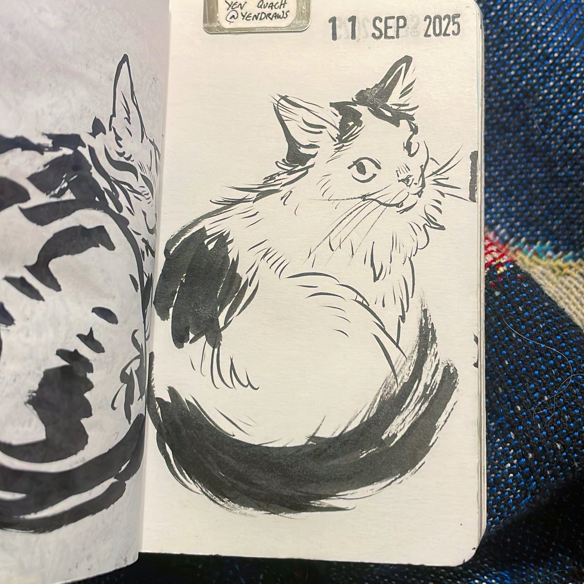 Long haired smirk 

🖋️ pentel brush pen, platinum carbon ink
🗒️ Kokuyo business paper 
🌟 #draweveryday #ded2025