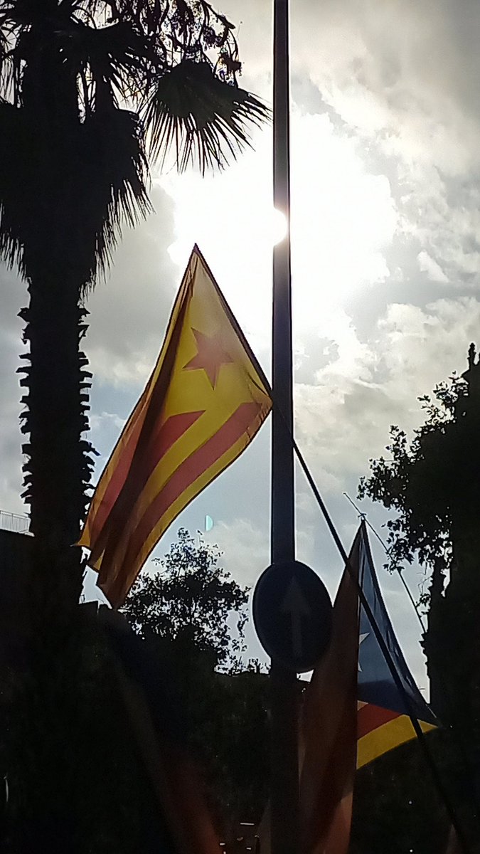 Groc de llibertat, de dignitat, de resistència d'un poble. Gràcies. <a href="/aviesiavisLL/">Àvies i Avis Mont-roig del C.🎗️x la Llibertat</a> <a href="/avisiaviesreus/">Avis i Àvies de Reus x Llibertat 🎗</a> <a href="/AvisxRepublica/">Avis i Àvies per la República</a> <a href="/Aviesiavisvic21/">Àvies I Avis de la Plaça de Vic</a> <a href="/TacaDOliAvis/">Taca d'Oli</a> <a href="/anclacanonja/">ANC La Canonja</a> <a href="/CanonjaX/">La Canonja x la Llibertat</a> <a href="/Iaies_osTortosa/">Iaies&Iaios per la Llibertat</a> <a href="/v_rovira/">vrovira50</a> <a href="/david_miret/">David Miret</a> <a href="/MeridianaResis1/">MeridianaResisteix</a> <a href="/JDDCAT/">JDD</a> <a href="/musicspenedes/">Músics per la Llibertat Alt Penedès</a> <a href="/CorPaeria/">Cor Plaça Paeria</a> <a href="/JaumeAeRos/">Jaume Añe Ros</a> #free