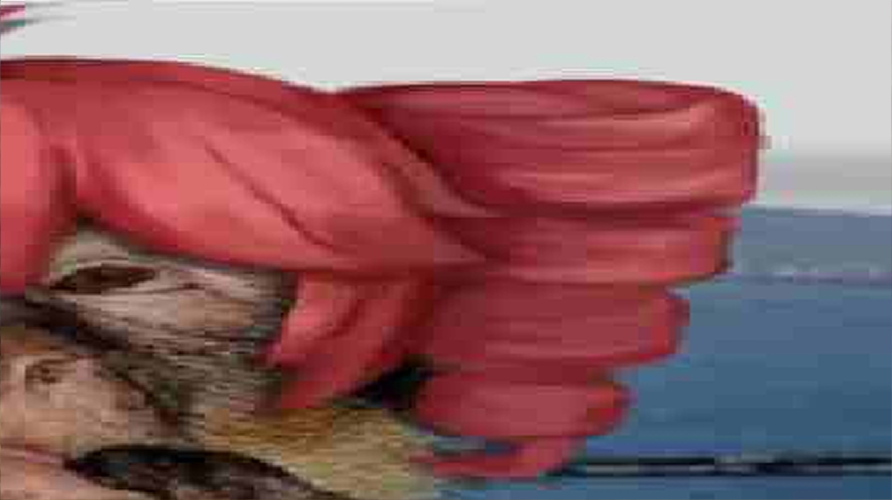 Foster ! ! 🥞 tweet media