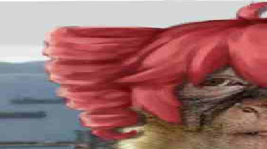 Foster ! ! 🥞 tweet media