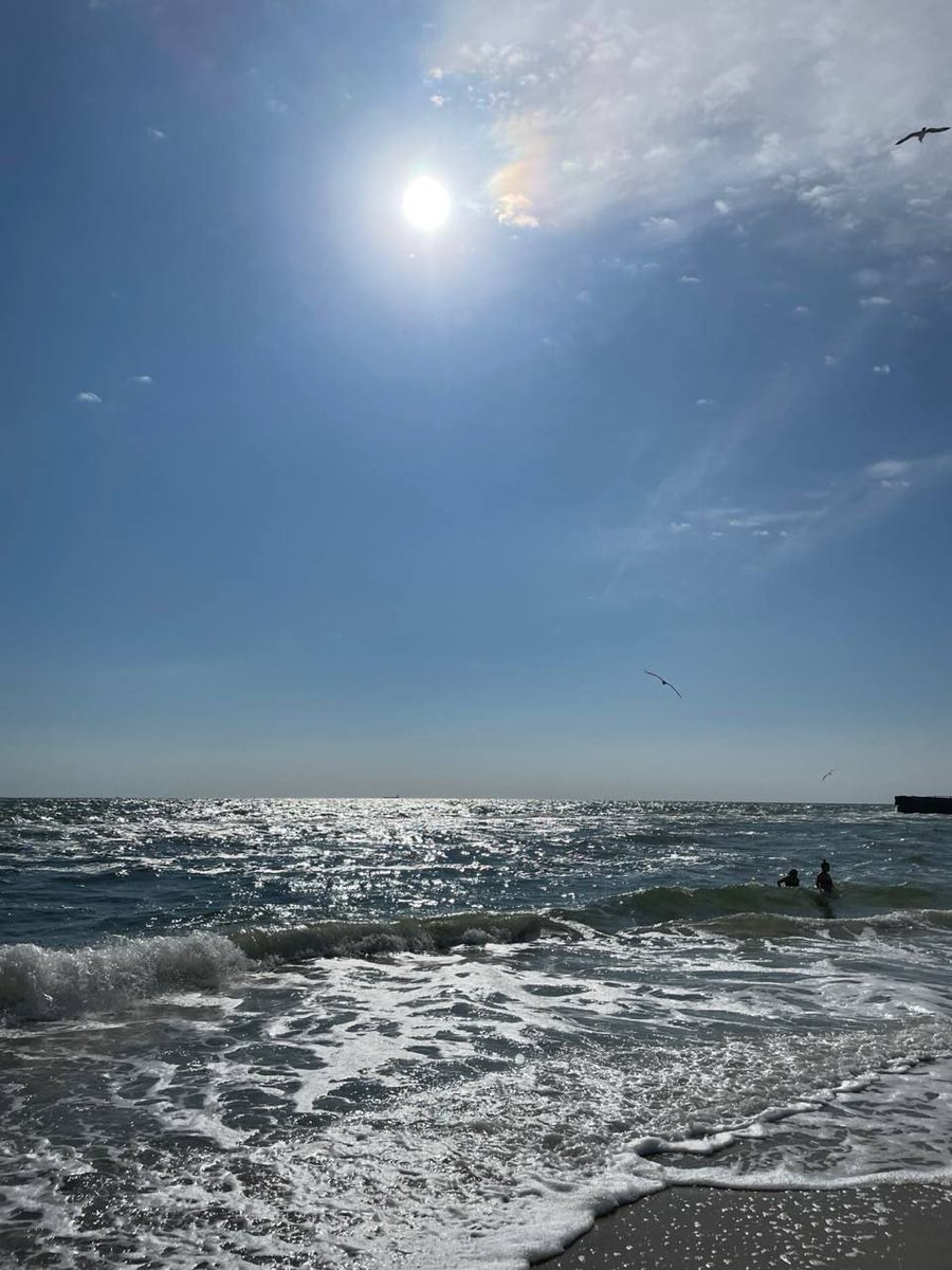 Катерина Галич tweet media