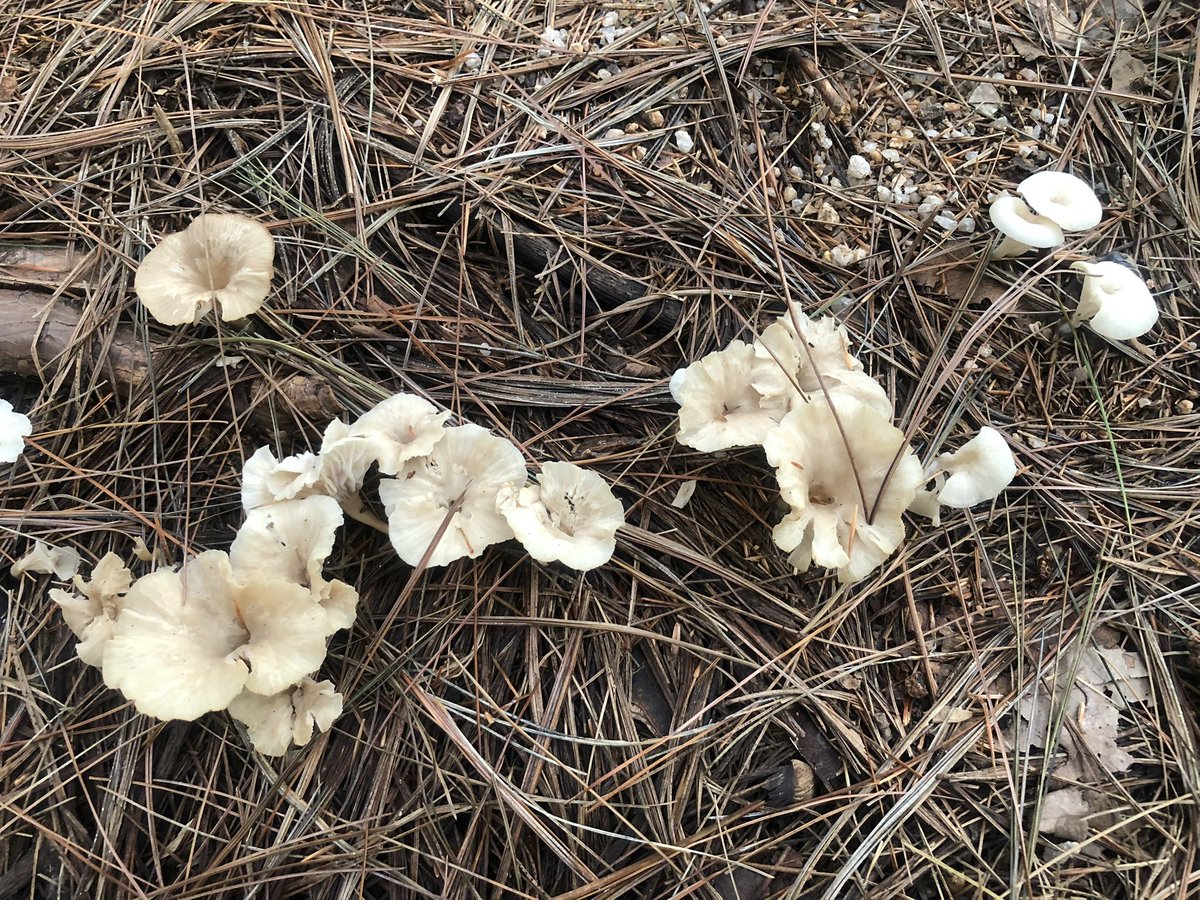 거의 1년만에 들어 왔네요
초안산에 다녀왔습니다.
앞으로 가끔씩 트친님들과 
소통해요.