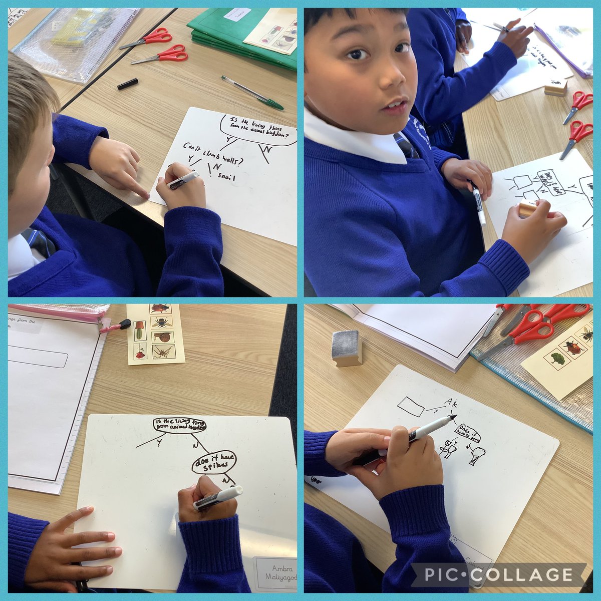 StCuthbertsPri's tweet photo. Y6 started today playing βWhat am I?βThey used their question ideas to help them create classification keys. Some great work today. #StCuthbertsScience https://t.co/pGb9U7Ezfl