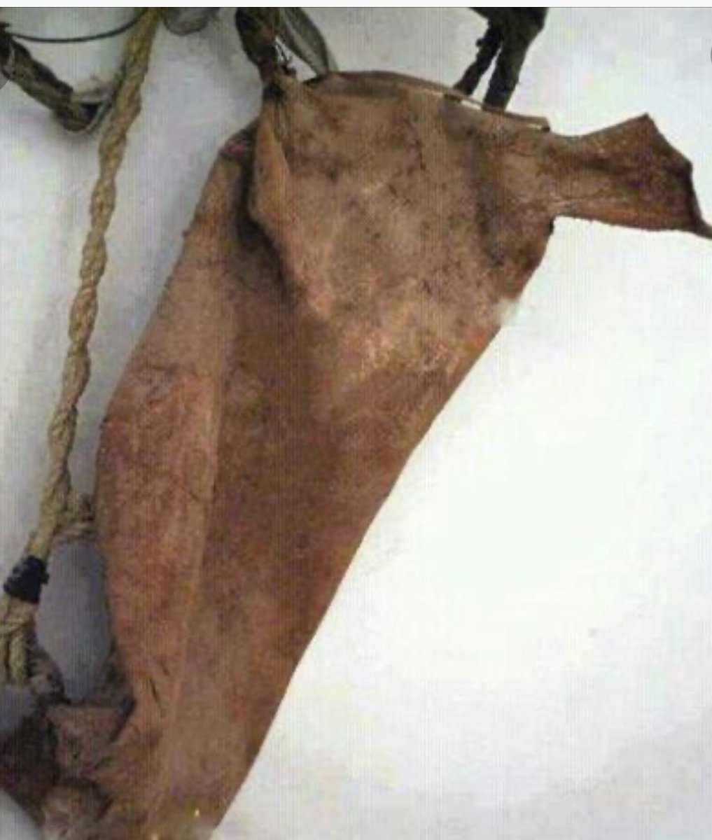 عبدالله البراك ابومحمد tweet media