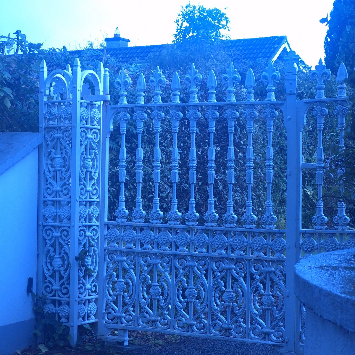 eva_joy1's tweet image. Still feeling blue...in the best way possible 😎💙 
#BlueMood #BlueVibes #OnRepeat