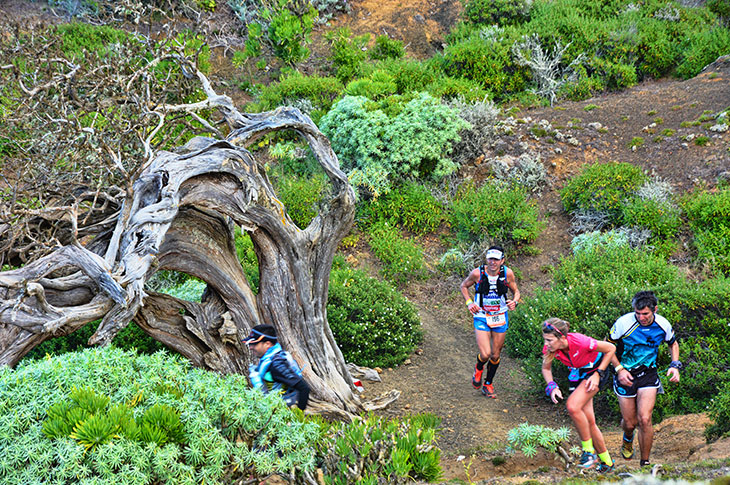 Die Kanarischen Inseln bieten ideale natürliche Bedingungen für Spitzensportler: eine leistungsstarke Infrastruktur, ganzjährig mildes Klima und einzigartige sportliche Herausforderungen. 🏝️
tourspain.es/consejerias/fr…
#visitspain #SpanienErleben #ThinkYouKnowSpain
<a href="/TurismCanarias/">Turismo de Islas Canarias</a>