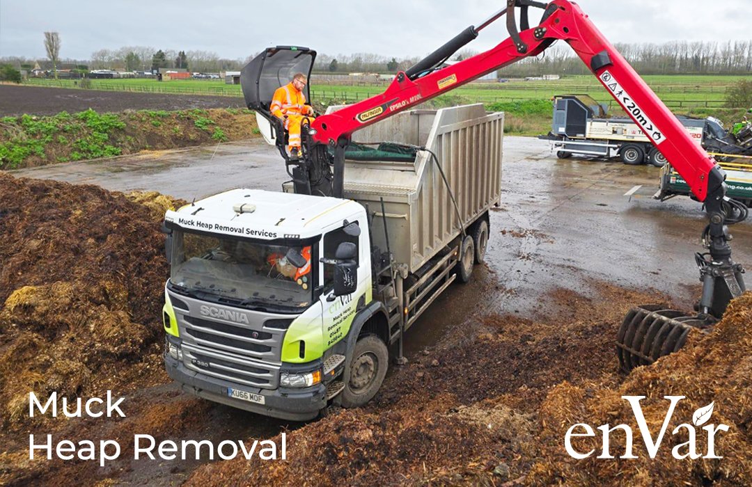 EnvarComposting's tweet image. 🐴 Muck heaps piling up?
Envar’s grab lorries provide fast, professional removal across Cambs, Norfolk & Suffolk. We collect manure, bedding, straw & shavings direct from your yard. Cleaner, simpler stables made easy.
👉 envar.co.uk/muck-heap-remo…