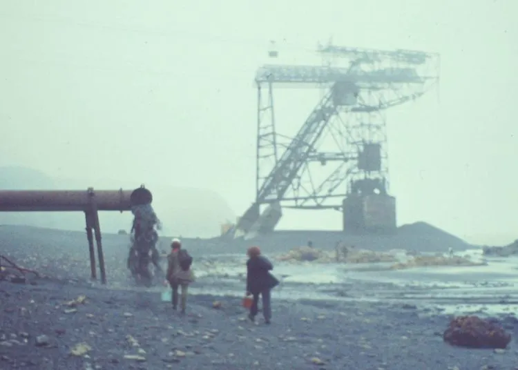 Rodney Forster tweet media